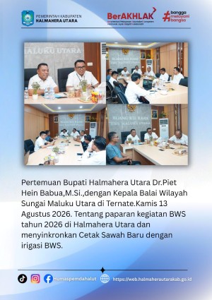 Audiensi dengan BWS Malut Bupati Halut Perjuangkan Program Bantuan untuk Daerah. 
